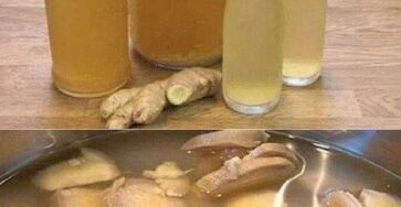 Ginger Water: The healthiest drink to burn belly, neck, arm, back and thigh fat!