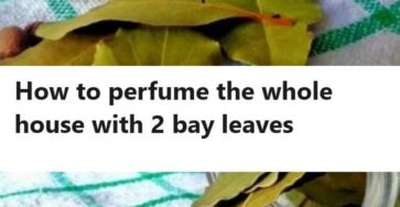 How to perfume the whole house with 2 bay leaves