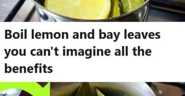 Boil lemon and bay leaves you can’t imagine all the benefits