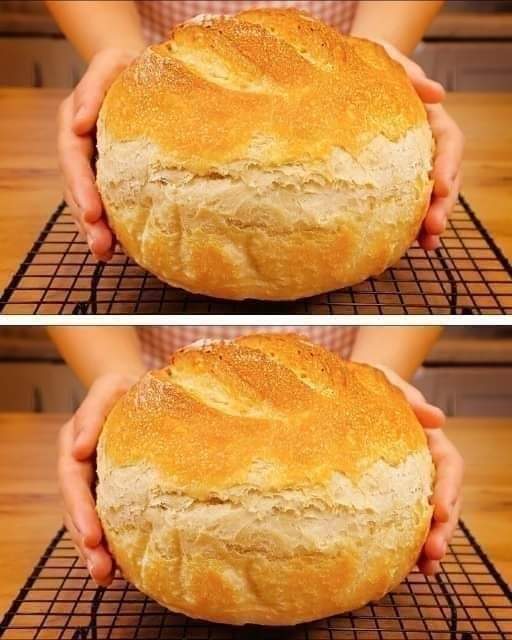 Non Sourdough Bread