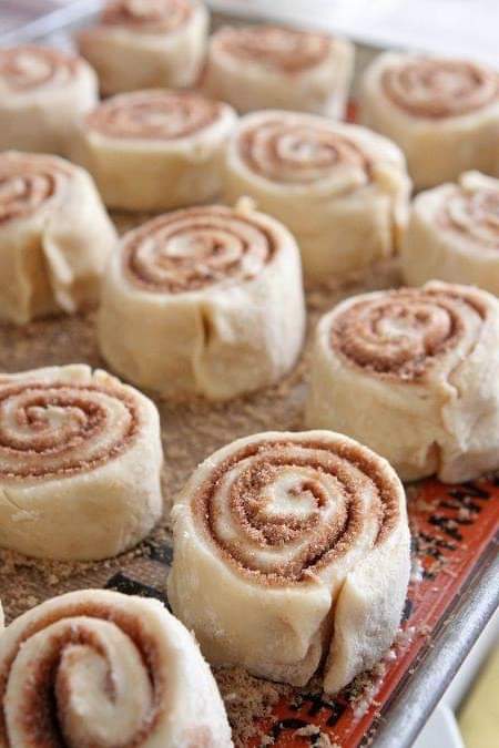 Mmmm… A Delicious Cinnamon Rolls